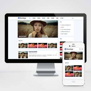 响应式新闻博客知识类网站模板下载 立即